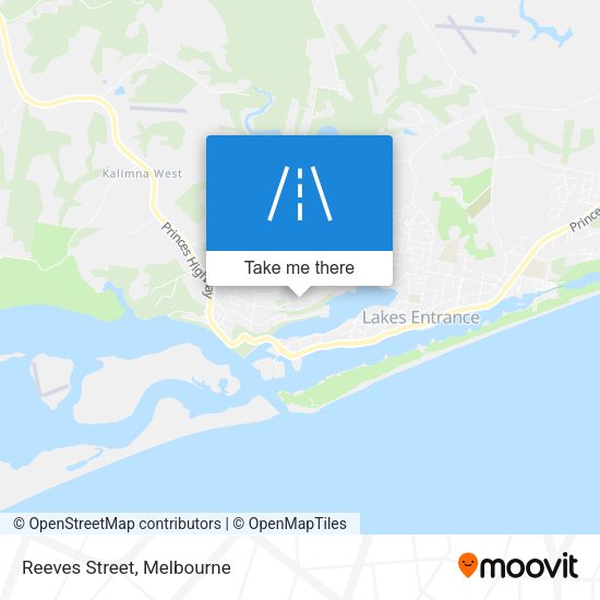 Reeves Street map