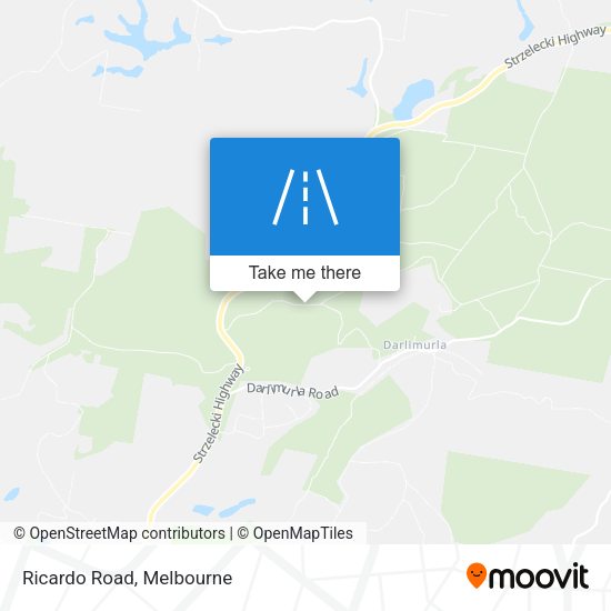Ricardo Road map