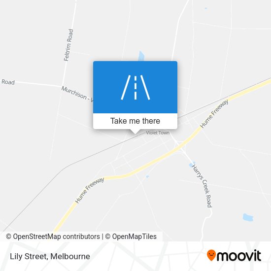 Lily Street map