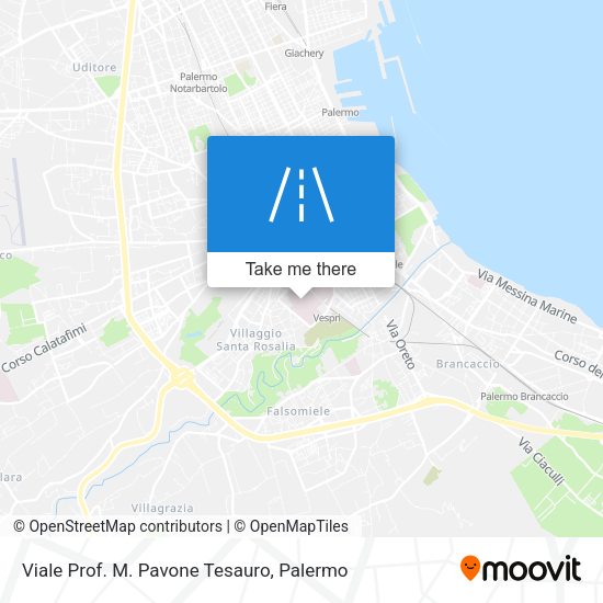 Viale Prof. M. Pavone Tesauro map