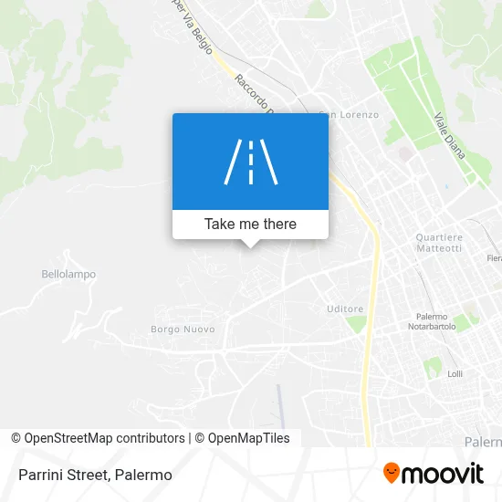 Parrini Street map
