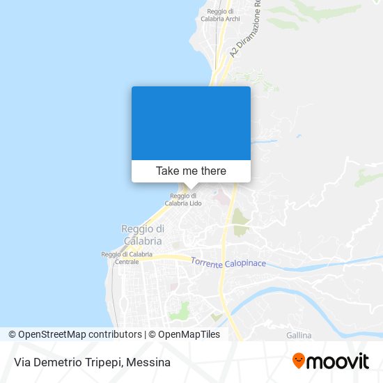 Via Demetrio Tripepi map