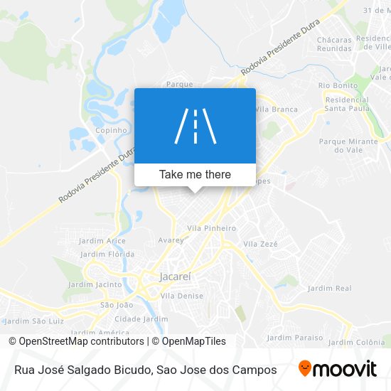Rua José Salgado Bicudo map