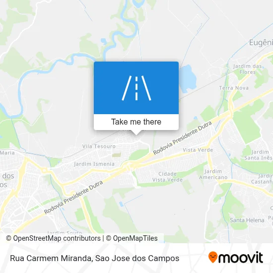 Rua Carmem Miranda map