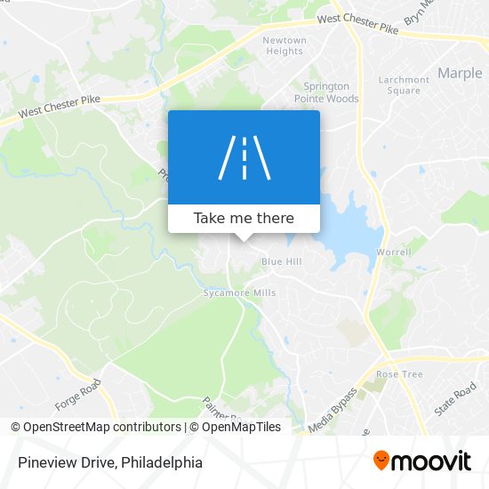 Pineview Drive map