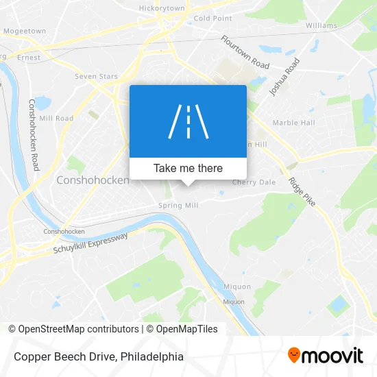 Copper Beech Drive map