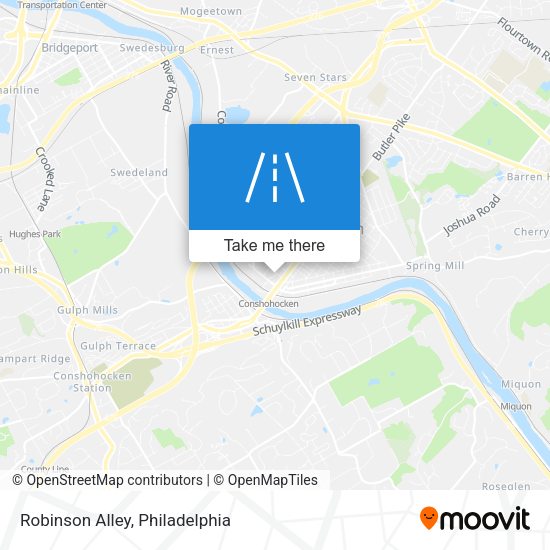 Robinson Alley map