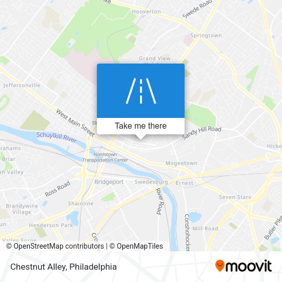 Chestnut Alley map