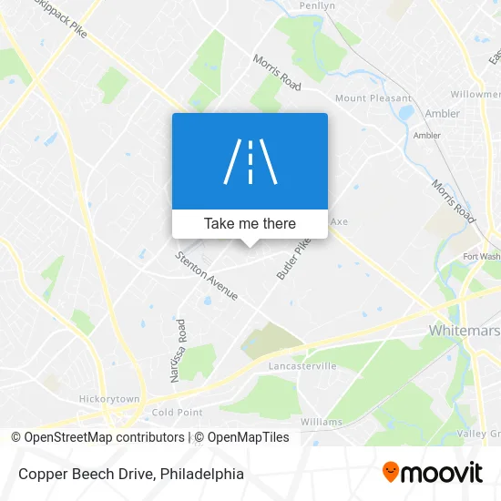 Copper Beech Drive map