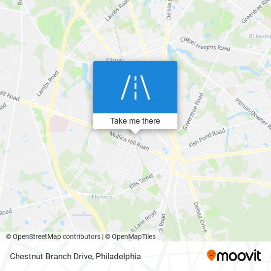 Mapa de Chestnut Branch Drive