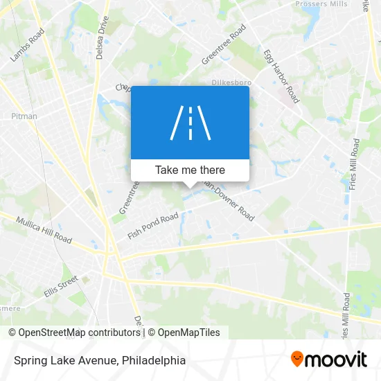 Spring Lake Avenue map