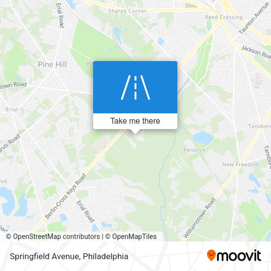 Mapa de Springfield Avenue