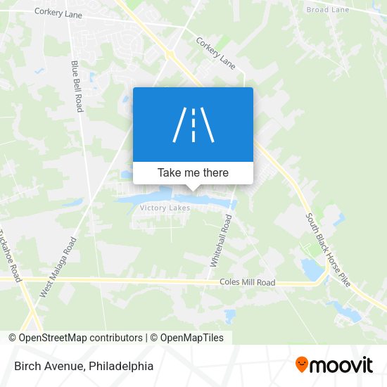 Mapa de Birch Avenue