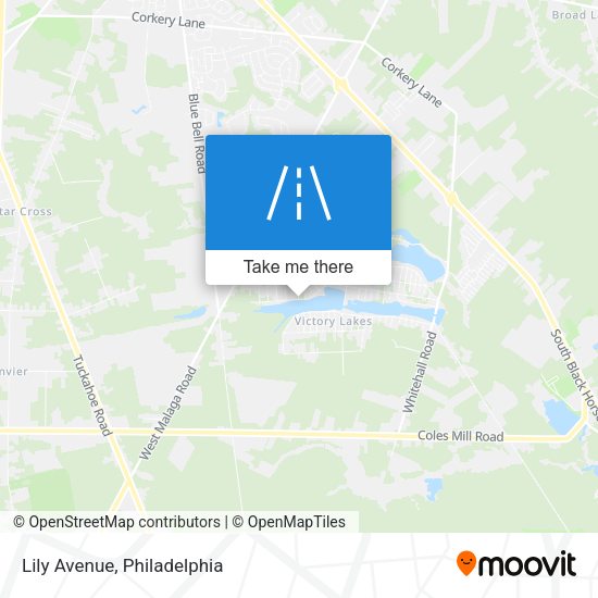 Mapa de Lily Avenue