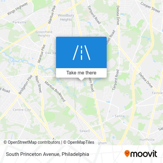 South Princeton Avenue map