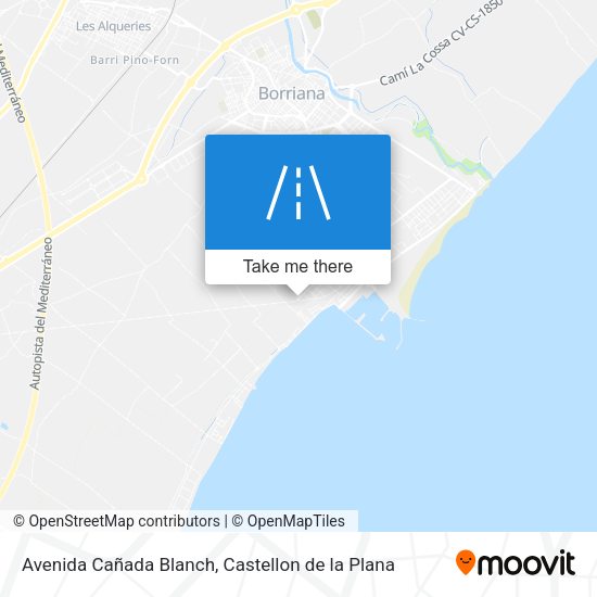 Avenida Cañada Blanch map