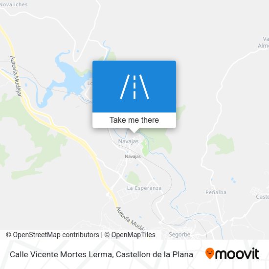 Calle Vicente Mortes Lerma map