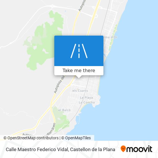 Calle Maestro Federico Vidal map