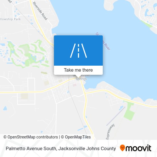 Palmetto Avenue South map