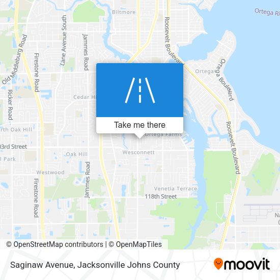 Saginaw Avenue map
