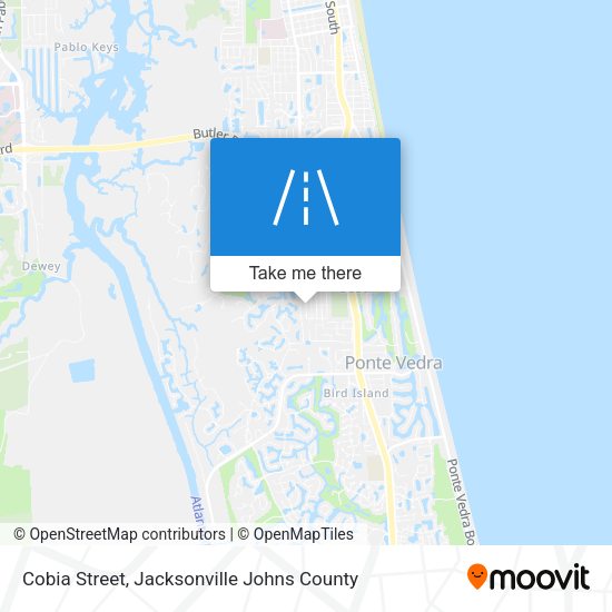 Cobia Street map