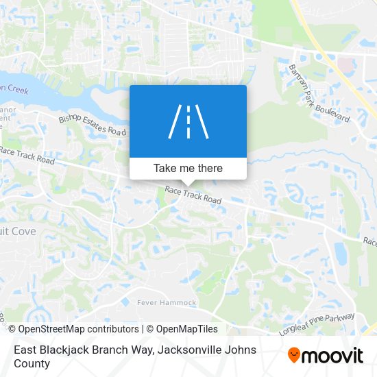 Mapa de East Blackjack Branch Way