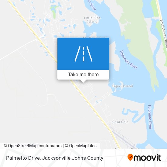 Palmetto Drive map