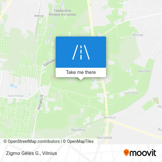 Карта Zigmo Gėlės G.