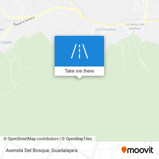Avenida Del Bosque map