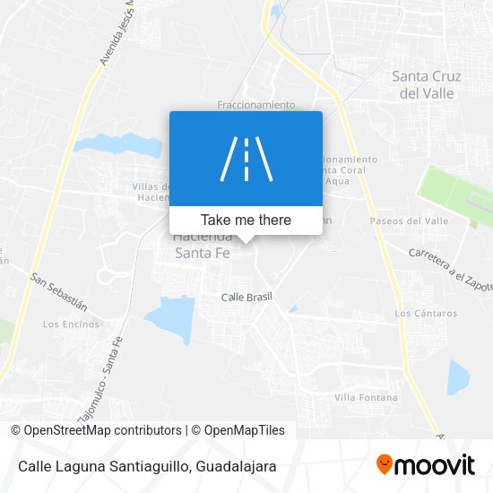 Calle Laguna Santiaguillo map