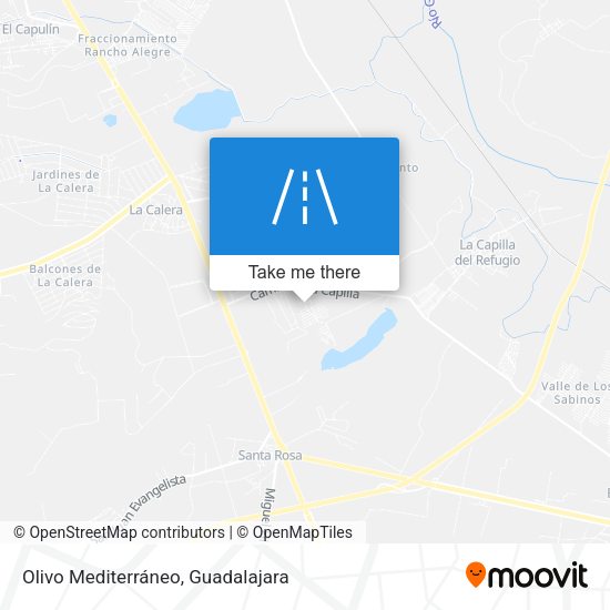 Olivo Mediterráneo map