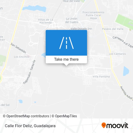 Mapa de Calle Flor Deliz