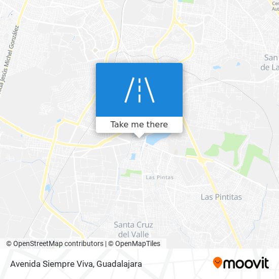 Avenida Siempre Viva map