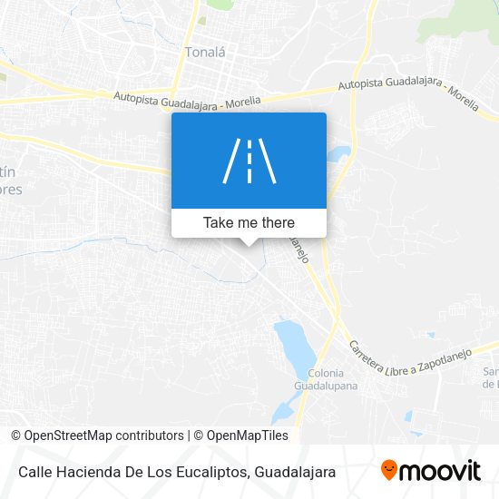 Calle Hacienda De Los Eucaliptos map