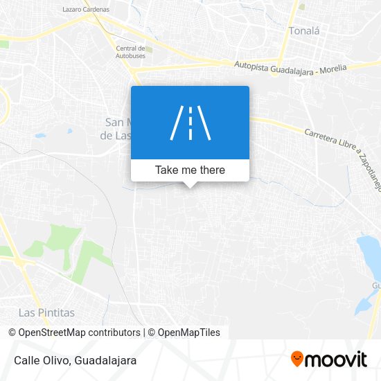 Mapa de Calle Olivo