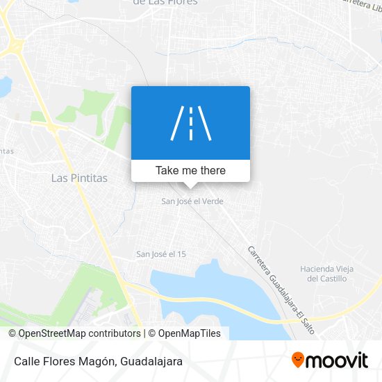 Calle Flores Magón map