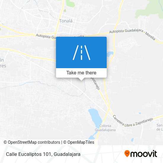 Mapa de Calle Eucaliptos 101