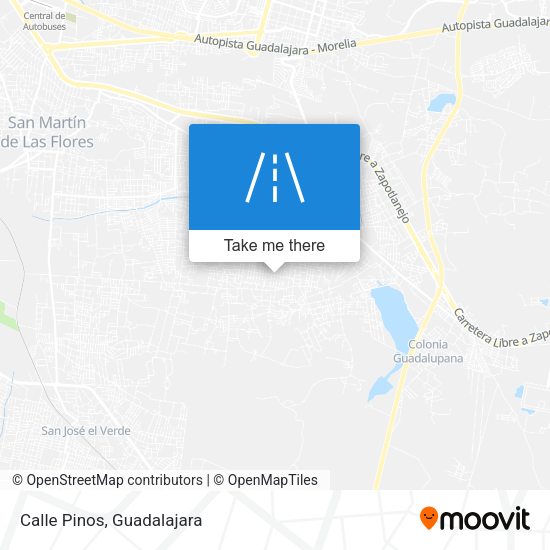 Mapa de Calle Pinos