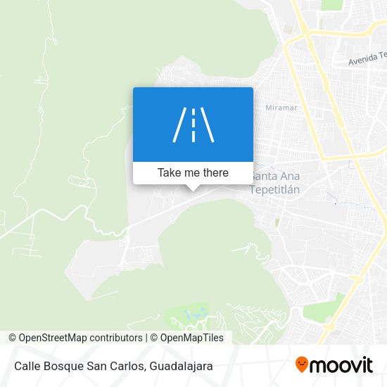 Calle Bosque San Carlos map