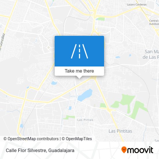 Mapa de Calle Flor Silvestre