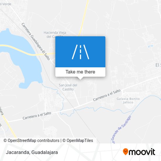 Jacaranda map