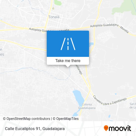 Calle Eucaliptos 91 map