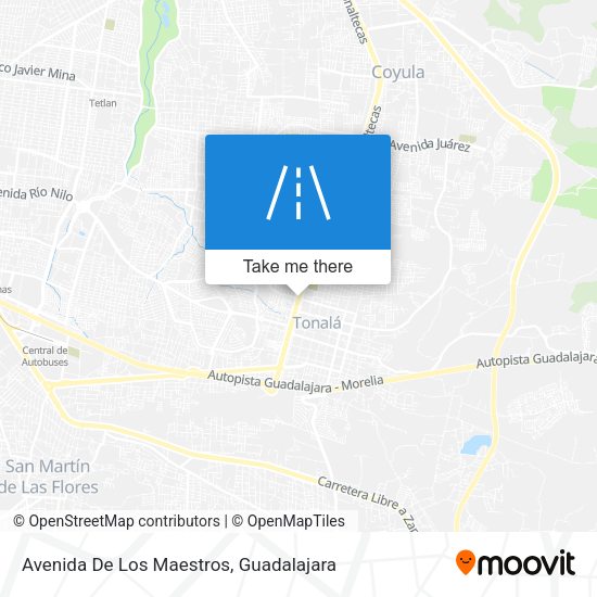 Avenida De Los Maestros map