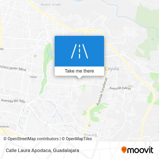Calle Laura Apodaca map