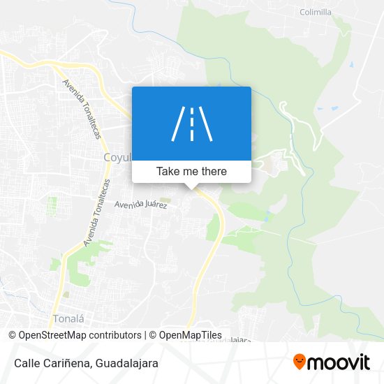 Calle Cariñena map