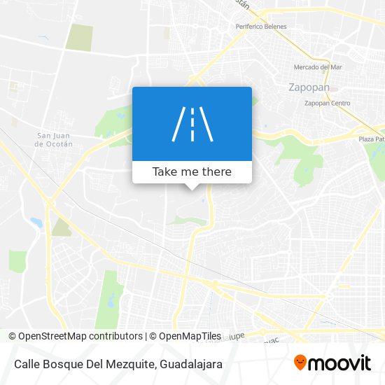 Mapa de Calle Bosque Del Mezquite