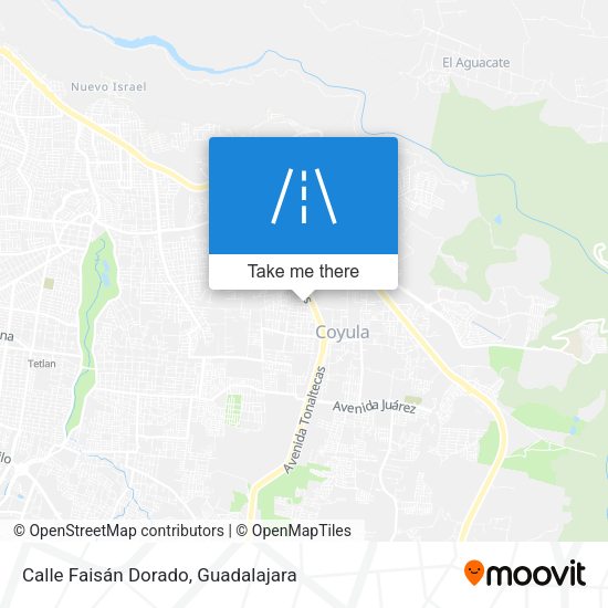 Mapa de Calle Faisán Dorado