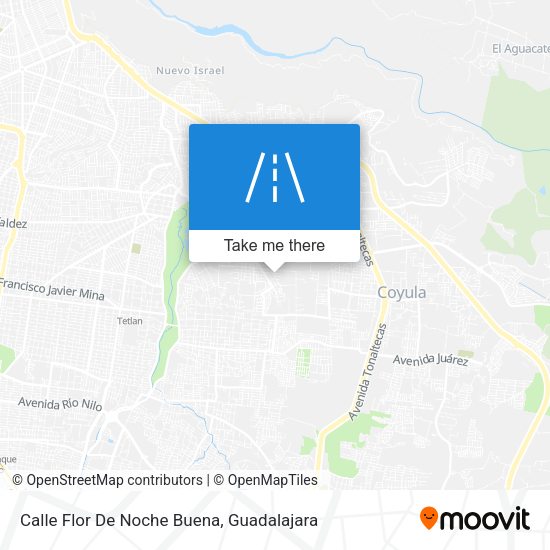 Calle Flor De Noche Buena map
