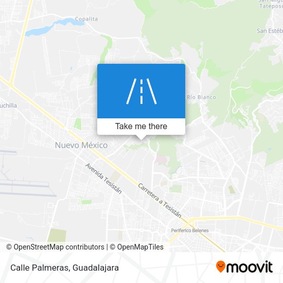 Mapa de Calle Palmeras