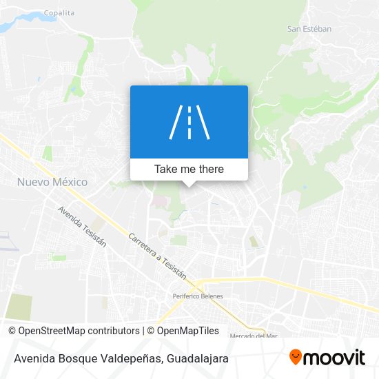 Avenida Bosque Valdepeñas map